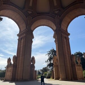 Meet your Posher, Maya